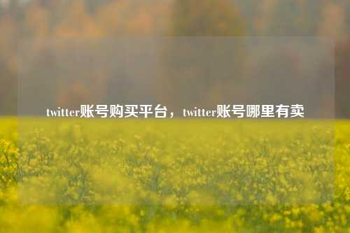 twitter账号购买平台，twitter账号哪里有卖