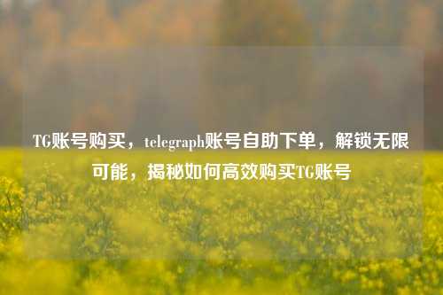 TG账号购买，telegraph账号自助下单，解锁无限可能，揭秘如何高效购买TG账号