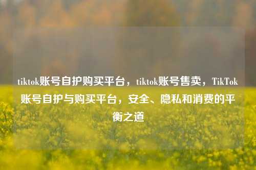 tiktok账号自护购买平台，tiktok账号售卖，TikTok账号自护与购买平台，安全、隐私和消费的平衡之道