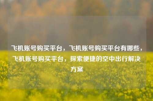 飞机账号购买平台，飞机账号购买平台有哪些，飞机账号购买平台，探索便捷的空中出行解决方案