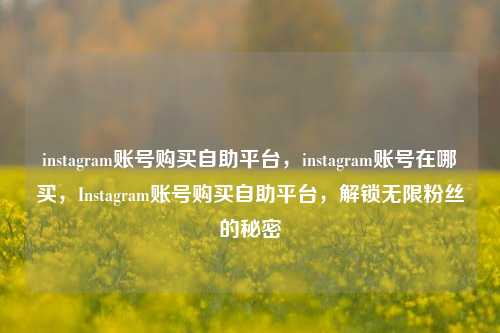 instagram账号购买自助平台，instagram账号在哪买，Instagram账号购买自助平台，解锁无限粉丝的秘密
