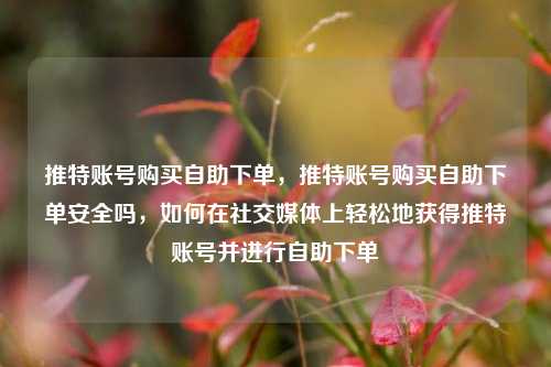 推特账号购买自助下单，推特账号购买自助下单安全吗，如何在社交媒体上轻松地获得推特账号并进行自助下单