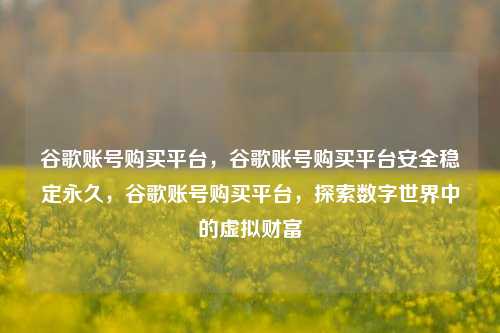 谷歌账号购买平台，谷歌账号购买平台安全稳定永久，谷歌账号购买平台，探索数字世界中的虚拟财富