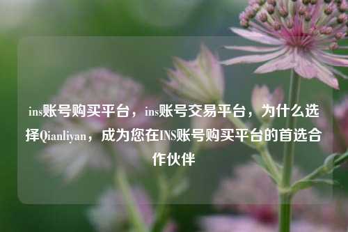 ins账号购买平台，ins账号交易平台，为什么选择Qianliyan，成为您在INS账号购买平台的首选合作伙伴