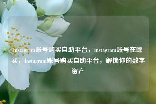 instagram账号购买自助平台，instagram账号在哪买，Instagram账号购买自助平台，解锁你的数字资产