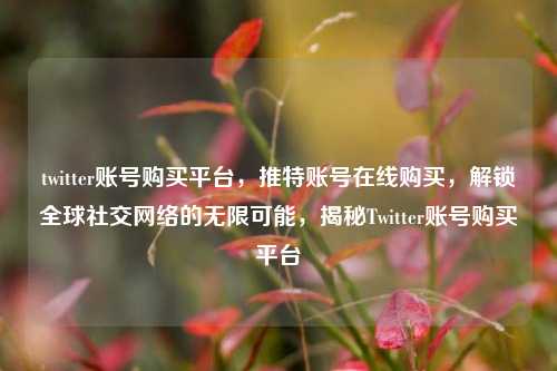 twitter账号购买平台，推特账号在线购买，解锁全球社交网络的无限可能，揭秘Twitter账号购买平台