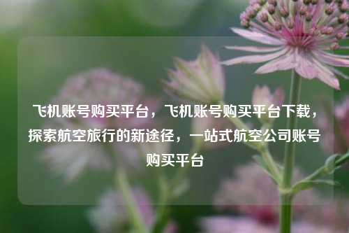 飞机账号购买平台，飞机账号购买平台下载，探索航空旅行的新途径，一站式航空公司账号购买平台