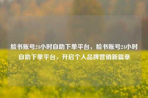 脸书账号24小时自助下单平台	，脸书账号24小时自助下单平台，开启个人品牌营销新篇章  第1张