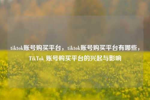 tiktok账号购买平台，tiktok账号购买平台有哪些，TikTok 账号购买平台的兴起与影响