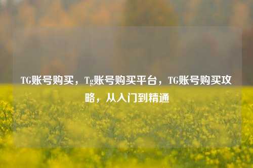 TG账号购买，Tg账号购买平台，TG账号购买攻略，从入门到精通