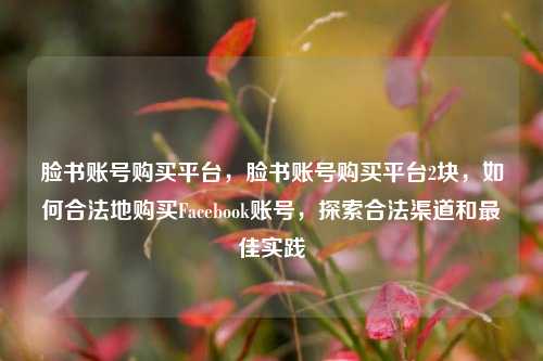 脸书账号购买平台，脸书账号购买平台2块，如何合法地购买Facebook账号，探索合法渠道和最佳实践