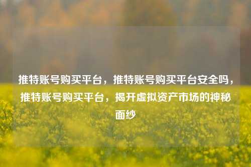推特账号购买平台，推特账号购买平台安全吗，推特账号购买平台，揭开虚拟资产市场的神秘面纱