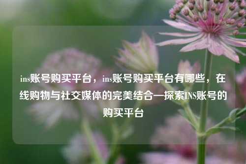 ins账号购买平台	，ins账号购买平台有哪些，在线购物与社交媒体的完美结合—探索INS账号的购买平台  第1张