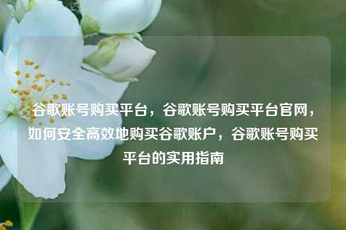 谷歌账号购买平台，谷歌账号购买平台官网，如何安全高效地购买谷歌账户，谷歌账号购买平台的实用指南
