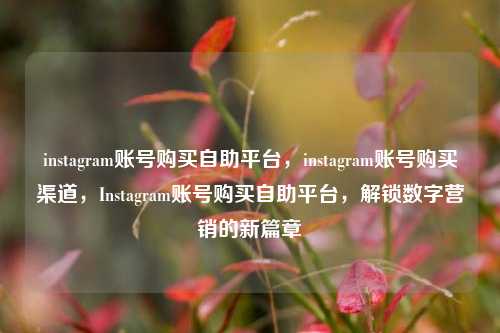 instagram账号购买自助平台，instagram账号购买渠道，Instagram账号购买自助平台，解锁数字营销的新篇章