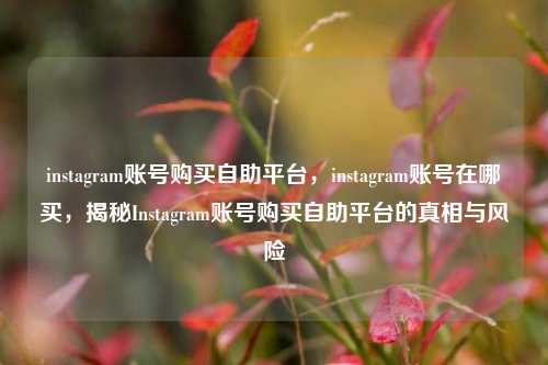 instagram账号购买自助平台，instagram账号在哪买，揭秘Instagram账号购买自助平台的真相与风险