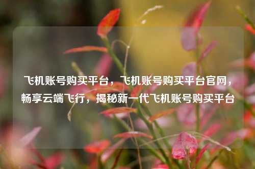 飞机账号购买平台，飞机账号购买平台官网，畅享云端飞行，揭秘新一代飞机账号购买平台