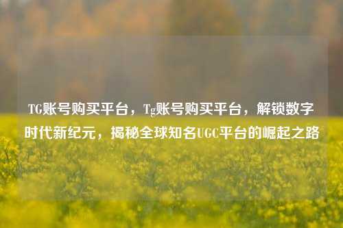 TG账号购买平台，Tg账号购买平台，解锁数字时代新纪元，揭秘全球知名UGC平台的崛起之路