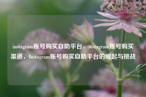 instagram账号购买自助平台，instagram账号购买渠道，Instagram账号购买自助平台的崛起与挑战