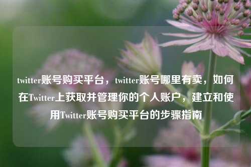 twitter账号购买平台，twitter账号哪里有卖	，如何在Twitter上获取并管理你的个人账户，建立和使用Twitter账号购买平台的步骤指南  第1张