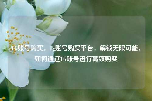 TG账号购买，Tg账号购买平台，解锁无限可能，如何通过TG账号进行高效购买