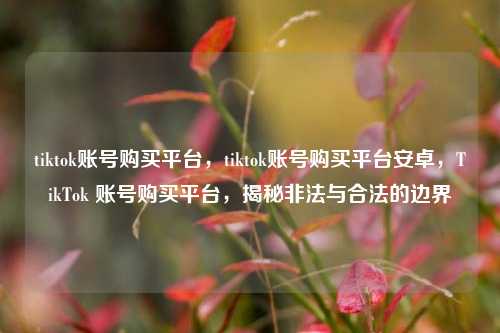 tiktok账号购买平台，tiktok账号购买平台安卓，TikTok 账号购买平台，揭秘非法与合法的边界