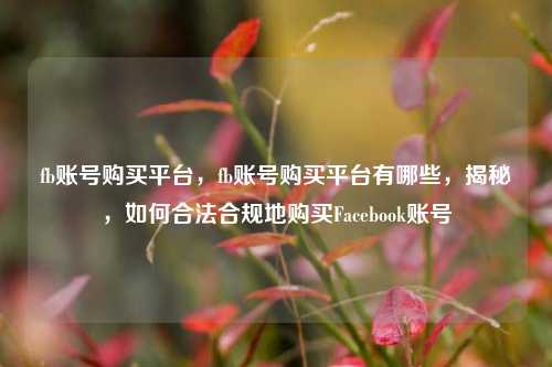 fb账号购买平台，fb账号购买平台有哪些，揭秘，如何合法合规地购买Facebook账号