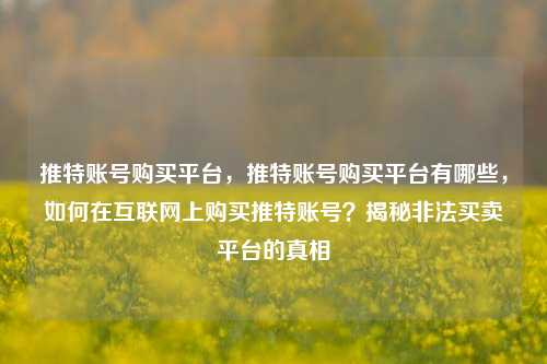 推特账号购买平台，推特账号购买平台有哪些，如何在互联网上购买推特账号？揭秘非法买卖平台的真相