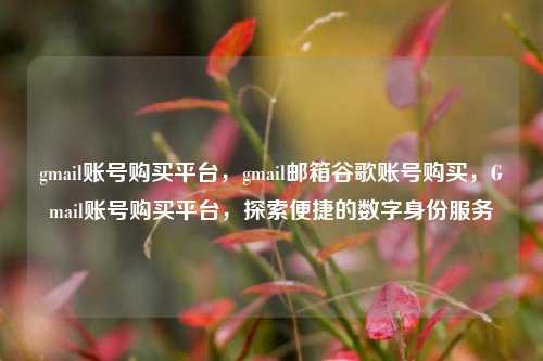 gmail账号购买平台，gmail邮箱谷歌账号购买，Gmail账号购买平台，探索便捷的数字身份服务