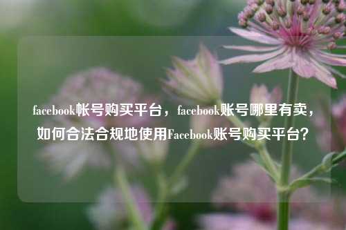 facebook帐号购买平台	，facebook账号哪里有卖，如何合法合规地使用Facebook账号购买平台？  第1张