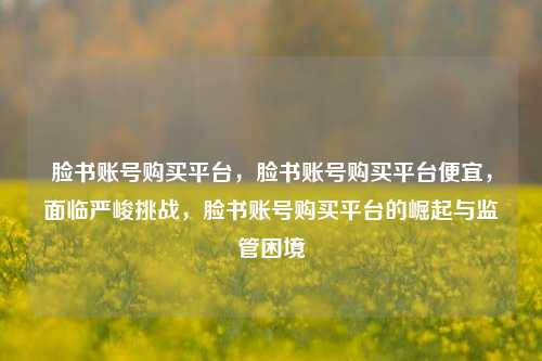 脸书账号购买平台，脸书账号购买平台便宜，面临严峻挑战，脸书账号购买平台的崛起与监管困境