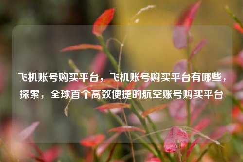 飞机账号购买平台	，飞机账号购买平台有哪些，探索，全球首个高效便捷的航空账号购买平台  第1张
