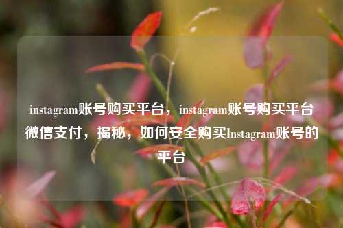 instagram账号购买平台，instagram账号购买平台微信支付，揭秘	，如何安全购买Instagram账号的平台  第1张