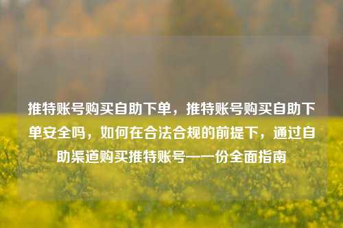 推特账号购买自助下单，推特账号购买自助下单安全吗	，如何在合法合规的前提下，通过自助渠道购买推特账号—一份全面指南  第1张