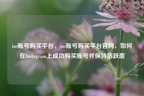 ins账号购买平台，ins账号购买平台官网，如何在Instagram上成功购买账号并保持活跃度