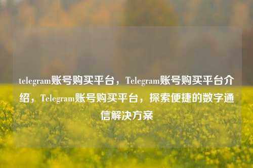 telegram账号购买平台，Telegram账号购买平台介绍，Telegram账号购买平台，探索便捷的数字通信解决方案