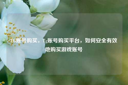 TG账号购买，Tg账号购买平台，如何安全有效地购买游戏账号