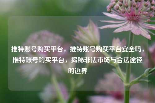 推特账号购买平台，推特账号购买平台安全吗，推特账号购买平台，揭秘非法市场与合法途径的边界
