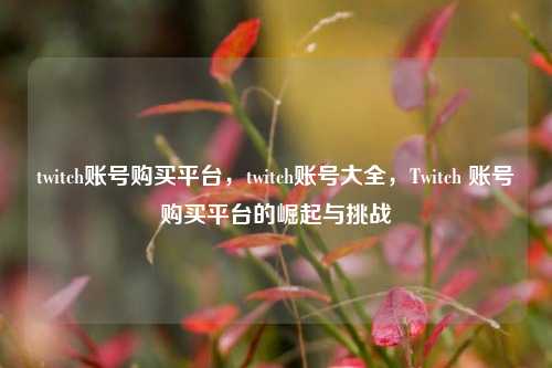 twitch账号购买平台，twitch账号大全，Twitch 账号购买平台的崛起与挑战  第1张