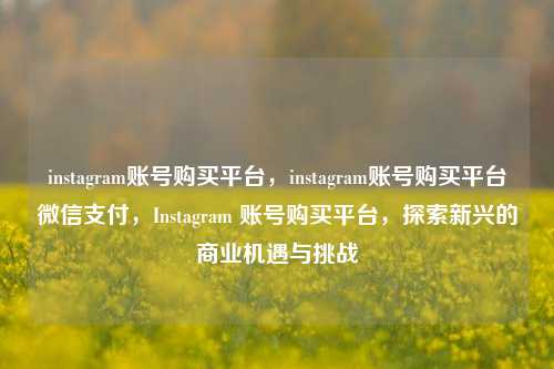 instagram账号购买平台，instagram账号购买平台微信支付，Instagram 账号购买平台，探索新兴的商业机遇与挑战