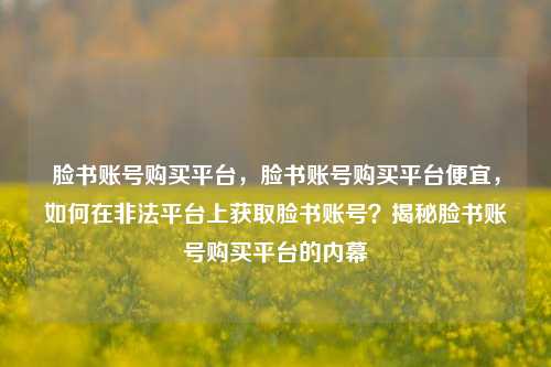 脸书账号购买平台，脸书账号购买平台便宜，如何在非法平台上获取脸书账号？揭秘脸书账号购买平台的内幕