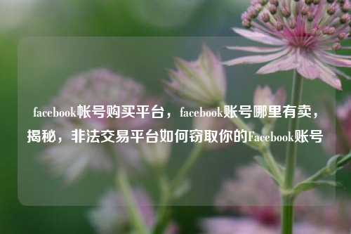 facebook帐号购买平台，facebook账号哪里有卖，揭秘，非法交易平台如何窃取你的Facebook账号