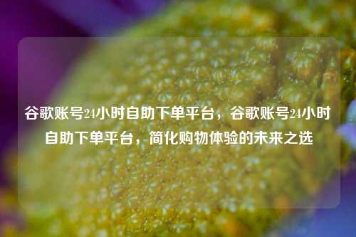谷歌账号24小时自助下单平台，谷歌账号24小时自助下单平台，简化购物体验的未来之选