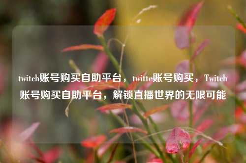 twitch账号购买自助平台，twitte账号购买，Twitch账号购买自助平台，解锁直播世界的无限可能