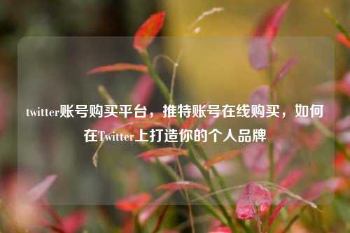 twitter账号购买平台，推特账号在线购买，如何在Twitter上打造你的个人品牌