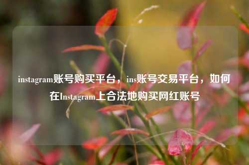 instagram账号购买平台，ins账号交易平台，如何在Instagram上合法地购买网红账号