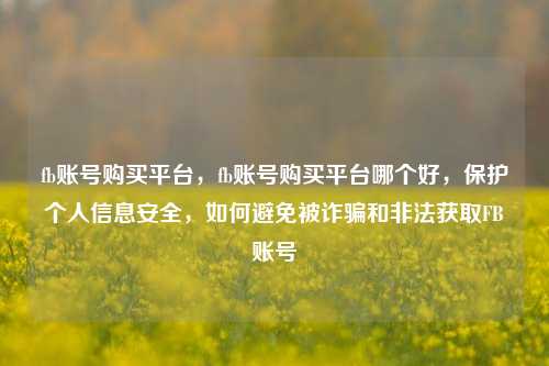 fb账号购买平台，fb账号购买平台哪个好，保护个人信息安全，如何避免被诈骗和非法获取FB账号