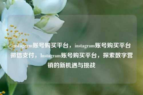 instagram账号购买平台，instagram账号购买平台微信支付，Instagram账号购买平台，探索数字营销的新机遇与挑战