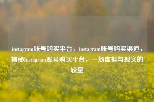 instagram账号购买平台，instagram账号购买渠道	，揭秘Instagram账号购买平台，一场虚拟与现实的较量  第1张