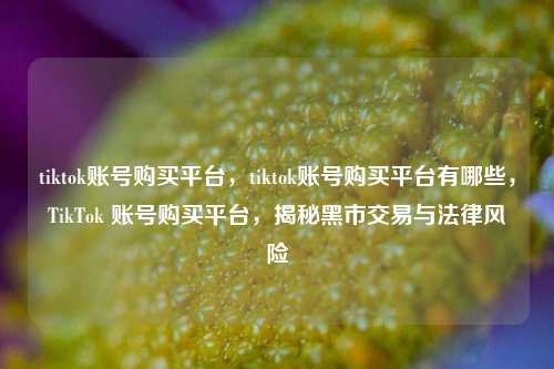 tiktok账号购买平台，tiktok账号购买平台有哪些，TikTok 账号购买平台，揭秘黑市交易与法律风险